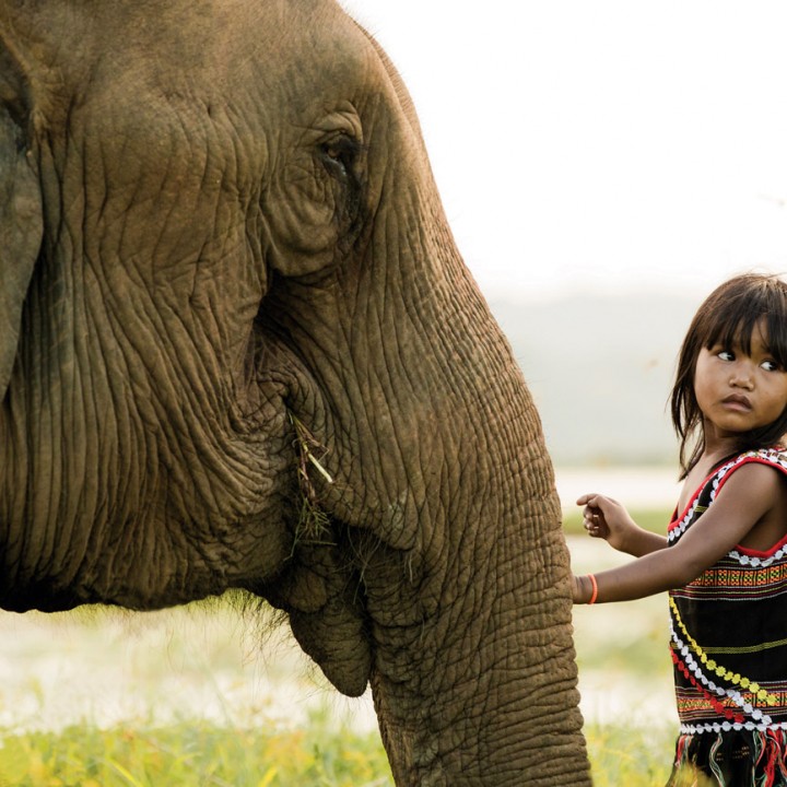 Best Friends - Những người bạn tốt